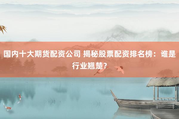 国内十大期货配资公司 揭秘股票配资排名榜：谁是行业翘楚？